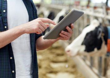 Espírito Santo atualiza regras para médicos-veterinários cadastrados para a vacinação contra brucelose