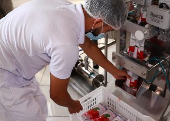 União de forças garante qualidade na merenda escolar