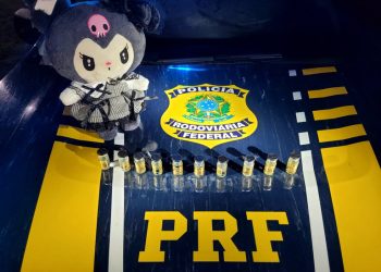 PRF apreende anabolizantes escondidos em urso de pelúcia no ES