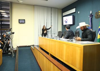 Comissão de Saúde debate situação do Hospital de São Mateus