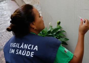 Casos de dengue em 2024 passam de 6,4 milhões; mortes somam 5,9 mil