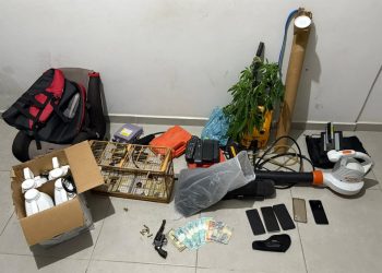 Polícia prende quatro suspeitos de roubo de pimenta em Boa Esperança