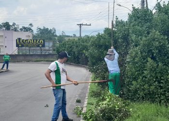 Secretaria de Meio Ambiente realiza ações de poda e paisagismo em Boa Esperança