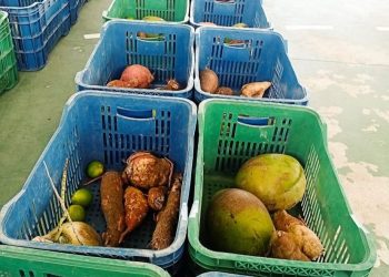 Prefeitura de Conceição da Barra distribui mais de 350 cestas de alimentos em janeiro