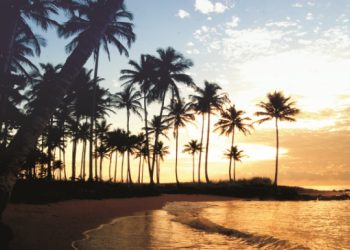 Roteiro dos sonhos: conheça as praias que encantam o norte do Espírito Santo