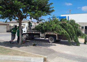 Secretaria de Meio Ambiente de Boa Esperança faz poda preventiva nas escolas