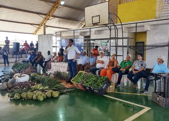 Produtores de Conceição da Barra recebem mudas de café conilon