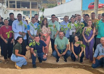 Agricultores da Região Noroeste recebem mudas do projeto Arranjos Produtivos