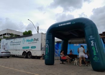 Prefeitura de Pinheiros supera expectativa e castra mais de 200 animais em campanha gratuita