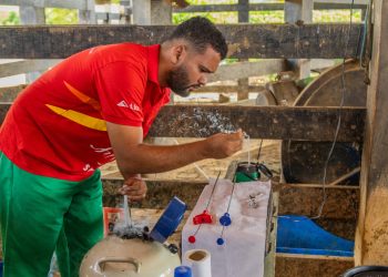 Programa de Inseminação Artificial em bovinos traz bons resultados para os produtores rurais de Linhares