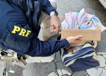PRF apreende mais de 22 kg de maconha em ônibus de viagem no Espírito Santo