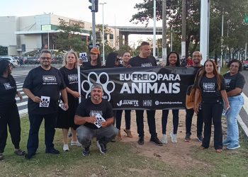 Assembleia promove ato contra atropelamento de animais