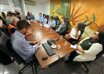 Governo do Espírito Santo atualiza estratégias de contingência da influenza aviária