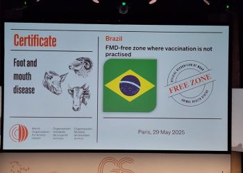 Reconhecimento internacional: Espírito Santo é livre de febre aftosa sem vacinação