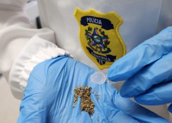 Polícia Científica identifica maior apreensão de drogas K no Estado em Nova Venécia