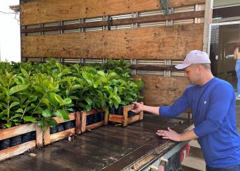 Arranjos Produtivos entrega mudas em Nova Venécia na sexta (9)