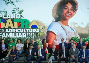 Plano Safra 25/26 prevê R$ 89 bilhões para agricultura familiar