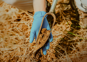 Jaguaré oferece orientação em análise de solo para produtores rurais