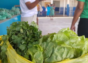 Pinheiros realiza primeira entrega de cestas verdes do ano