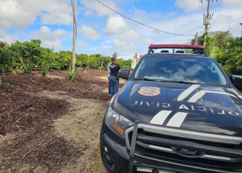 Ação conjunta flagra furto de energia em sítio com plantação de café em São Mateus