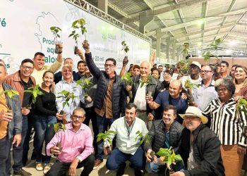 Arranjos Produtivos entrega mudas de cacau em Jaguaré