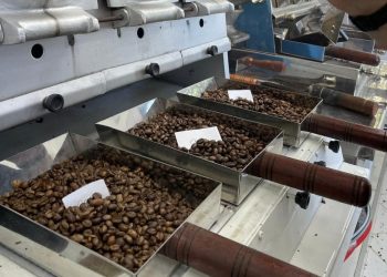 Concurso de Qualidade de Café de Pinheiros registra recorde de participação