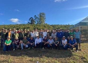 Encontros técnicos promovem práticas para fortalecer produção capixaba de tangerina