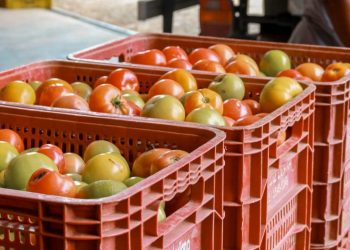 Banco de Alimentos de Cachoeiro fortalece parcerias com produtores rurais da região serrana