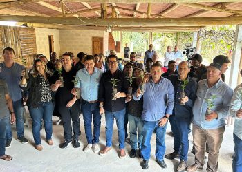 Arranjos Produtivos entrega 25 mil mudas de café em Guaçuí