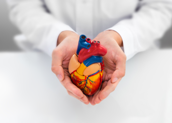 TCE-ES faz determinações e recomendações para melhorar controle de doenças cardiovasculares