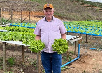 Hortas com hidroponia geram oportunidades em Vila Valério
