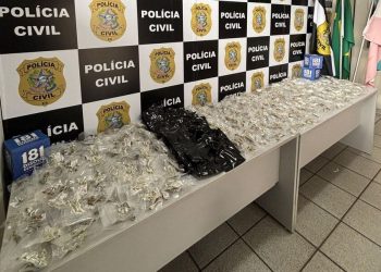 Denarc apreende mais de 400 unidades de cogumelos alucinógenos em Vitória