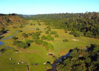 Jaguaré aposta no turismo rural para diversificar a economia