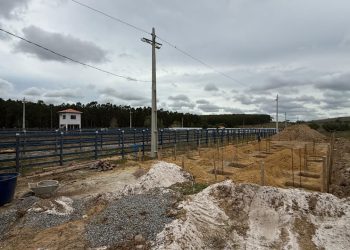 Pinheiros inicia construção da arquibancada do novo Parque de Vaquejada José Maria