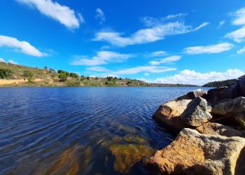 Pinheiros se destaca no Norte e Noroeste em programa agroecológico