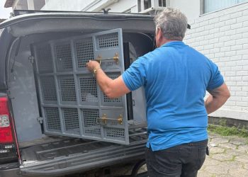 Homem foragido da Justiça de Minas Gerais é preso em Conceição da Barra