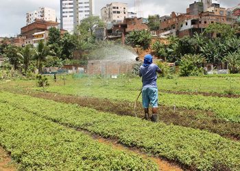 Plenário aprova isenção de cobrança pelo uso da água para produtores rurais
