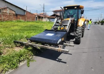 Tribunal determina que São Mateus faça licitação regular para serviços de capina elétrica