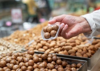 Macadâmia capixaba: a produção da noz cresce e conquista o mercado internacional