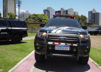 Suspeita de agredir enteado é presa em São Domingos do Norte