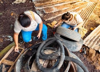 Saúde de Boa Esperança alerta para aumento do risco de dengue e outras arboviroses
