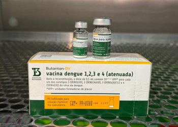 Espírito Santo recebe primeira remessa da vacina contra dengue do Butantan