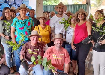 Arranjos Produtivos atinge marca de 19 mil mudas entregues em Itapemirim