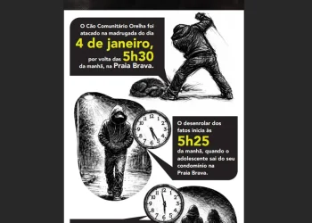 Cão Orelha: Polícia usa imagens e dados de celular para desvendar caso