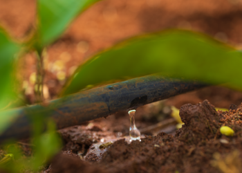 Outono no Espírito Santo deve ser mais quente que o normal