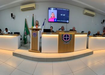 Vereadores de Pinheiros têm mandatos avaliados pela população