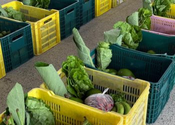 Prefeitura de Boa Esperança realiza entrega de cestas verdes