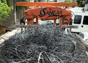 Colatina retira uma tonelada de fios e inicia enfrentamento a problema histórico