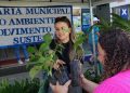 Prefeitura de Barra de São Francisco distribui mais de 19 mil mudas