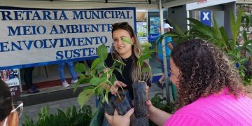 Prefeitura de Barra de São Francisco distribui mais de 19 mil mudas